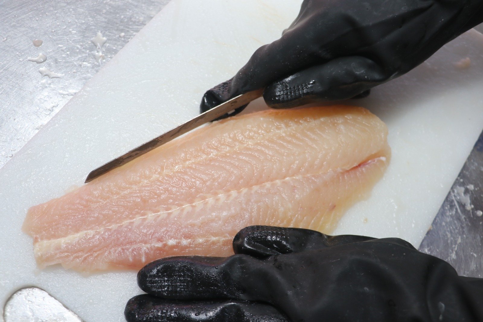 WhatsApp Image 2025-08-20 at 05.08