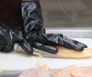 WhatsApp Image 2025-08-20 at 05.08.24